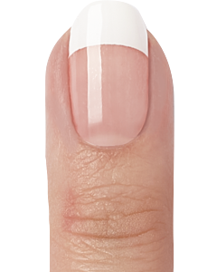 Miss Sophie Nail Wraps French Tips